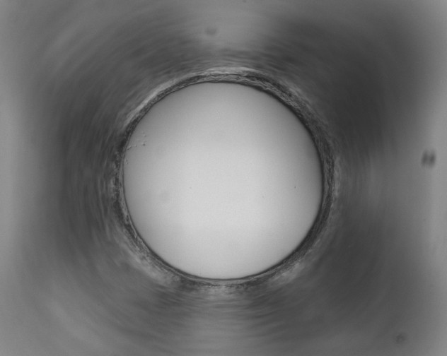 X0000111381401200907100926