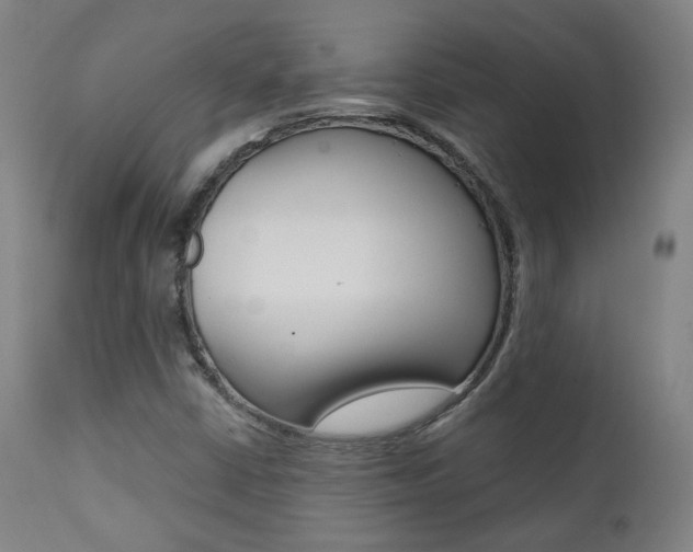 X0000111381402200907100926