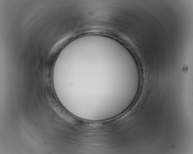 X0000111381403200907100926