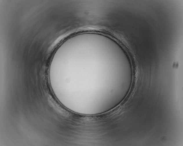 X0000111381404200907100926