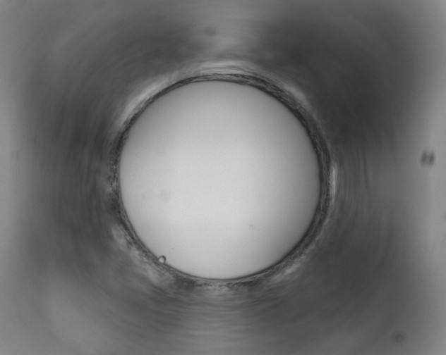 X0000111381405200907100926