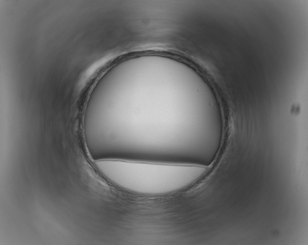 X0000111381406200907100926
