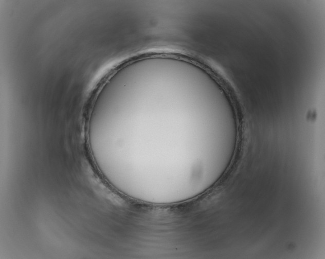 X0000111381408200907100926