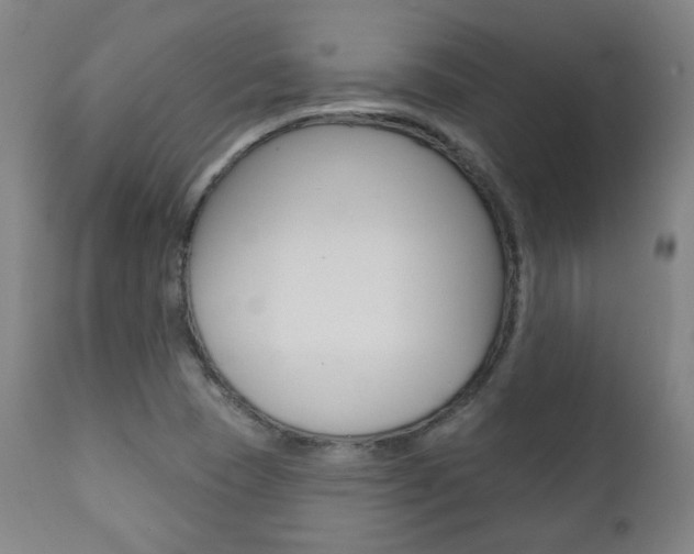 X0000111381409200907100926