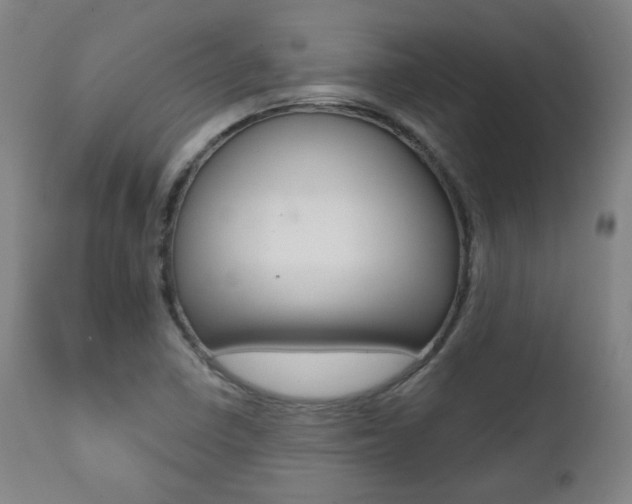 X0000111381410200907100926