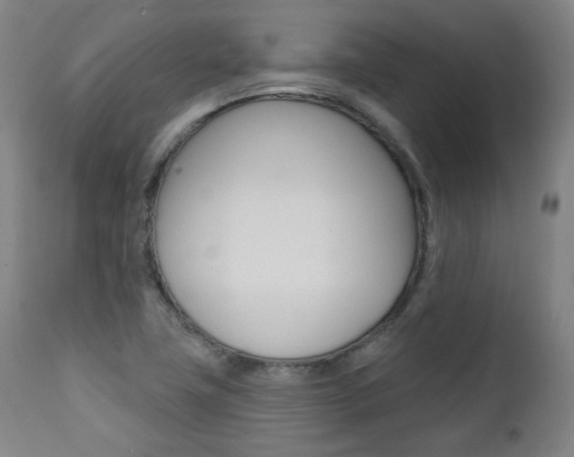 X0000111381411200907100926