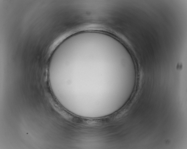 X0000111381413200907100927