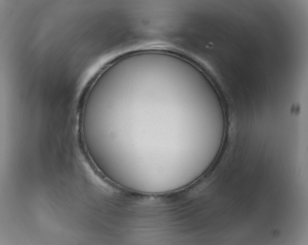 X0000111381414200907100927
