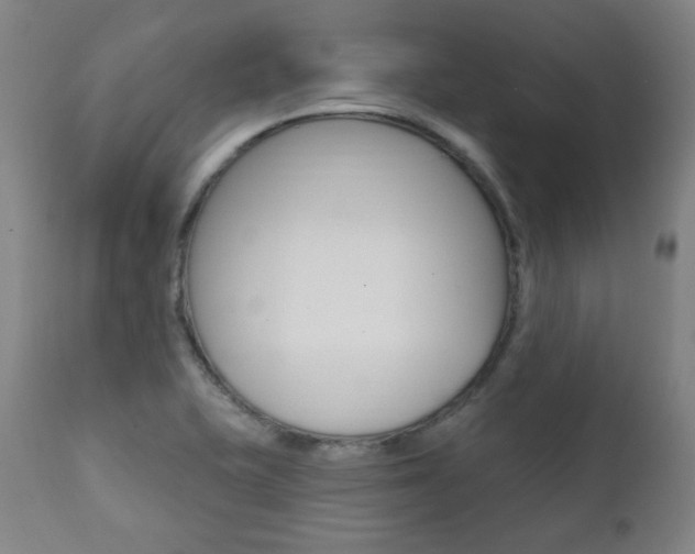 X0000111381415200907100927