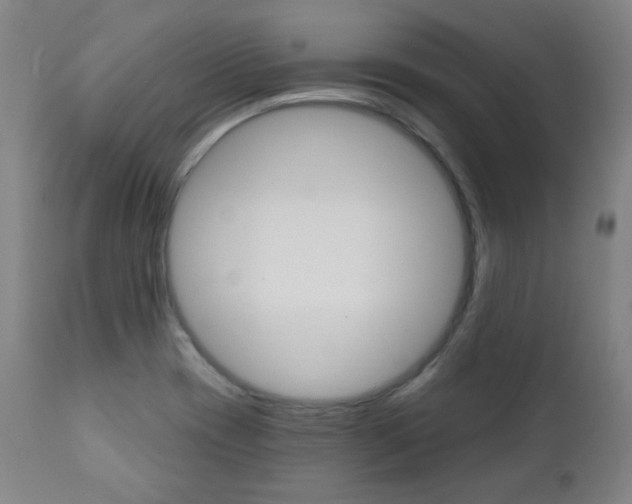 X0000111381417200907100927