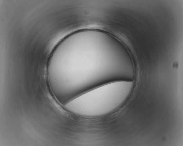 X0000111381420200907100927