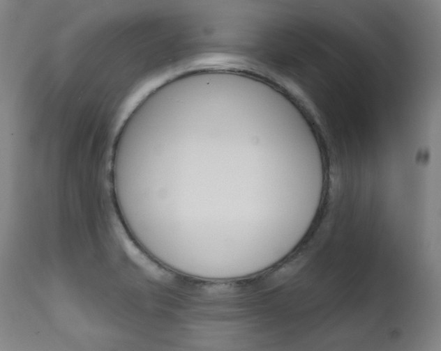 X0000111381421200907100927