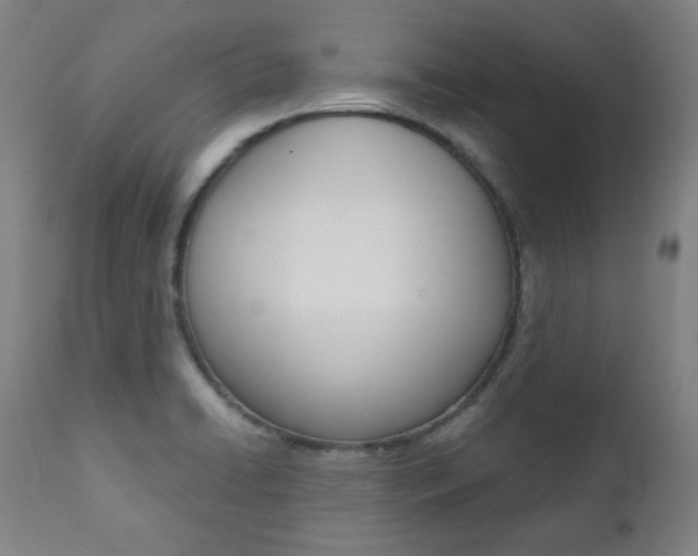 X0000111381422200907100927