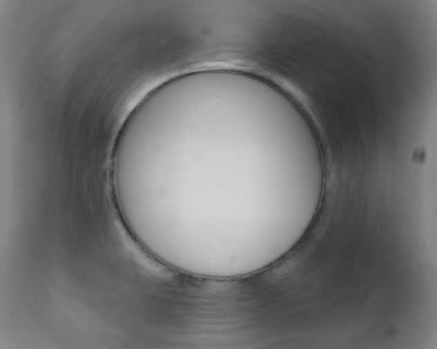X0000111381423200907100927