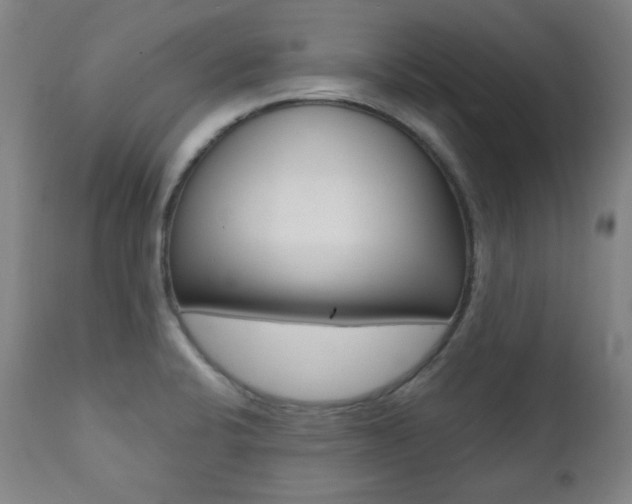 X0000111381424200907100927