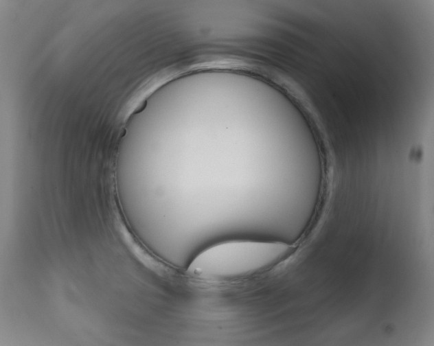 X0000111381425200907100927