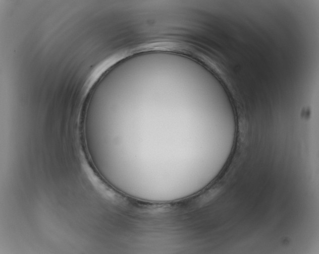 X0000111381426200907100927