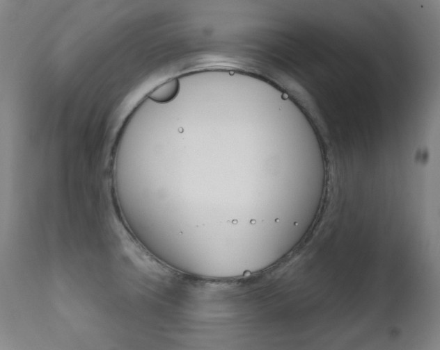 X0000111381427200907100927