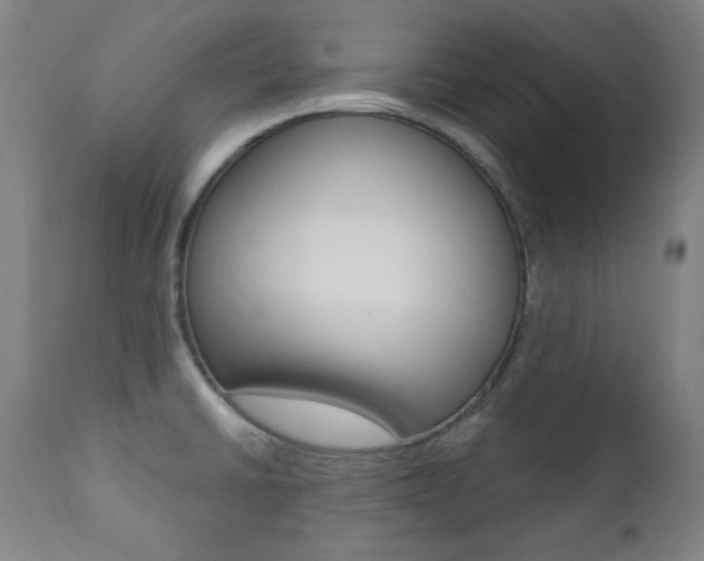 X0000111381430200907100927