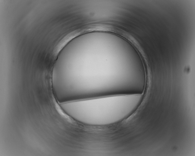 X0000111381433200907100927