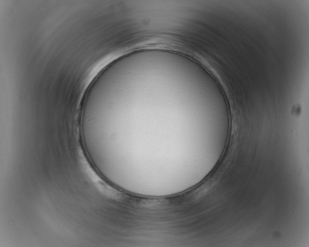 X0000111381434200907100927