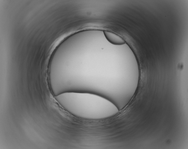 X0000111381435200907100927