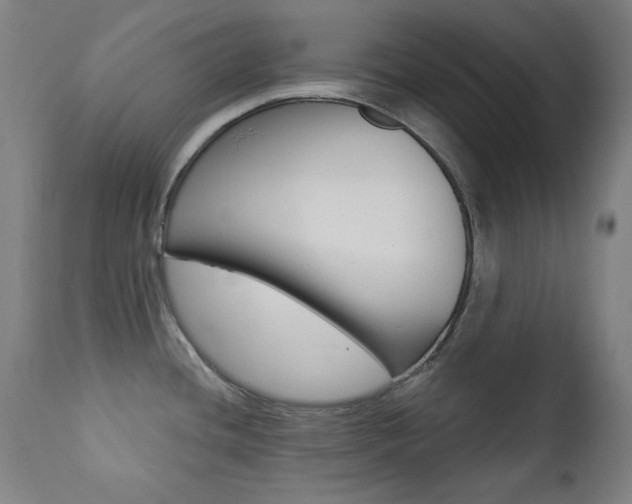 X0000111381436200907100927