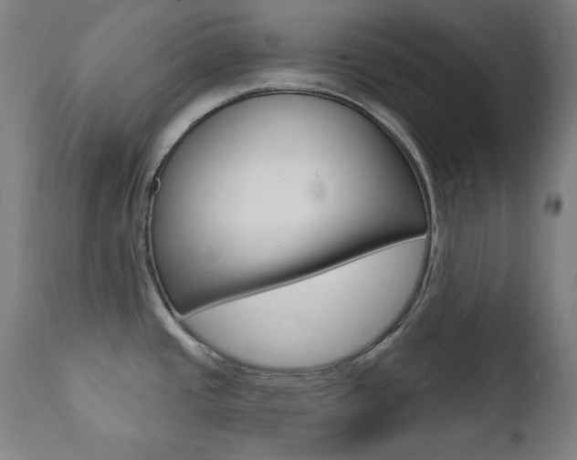 X0000111381437200907100927