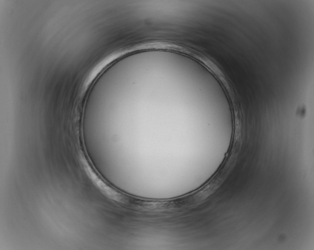 X0000111381438200907100927