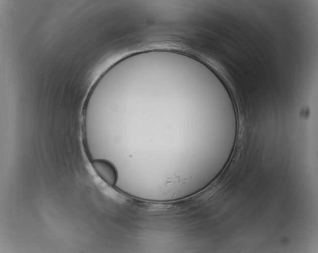 X0000111381439200907100927