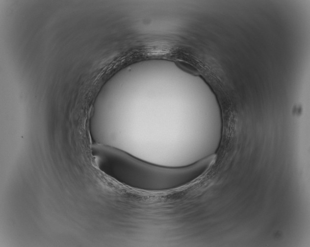 X0000111381441200907100926