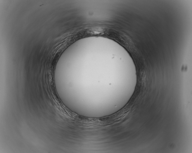 X0000111381442200907100926