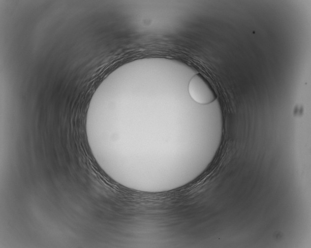 X0000111381443200907100926
