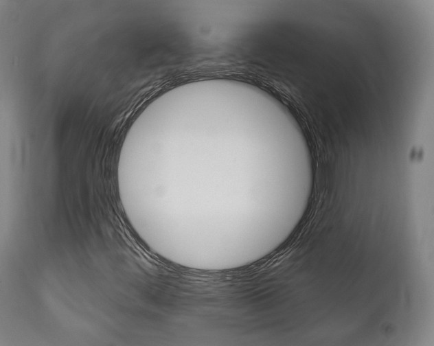 X0000111381444200907100926
