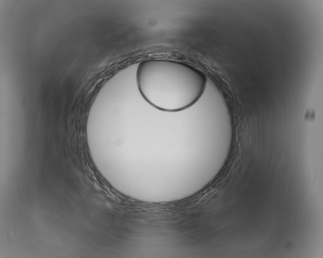 X0000111381445200907100926