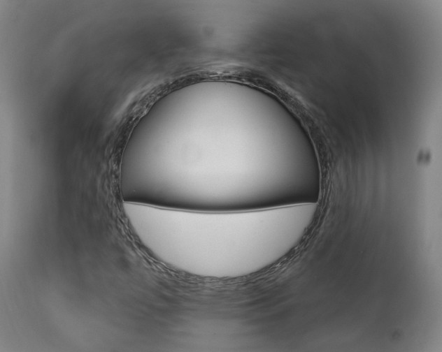 X0000111381447200907100926