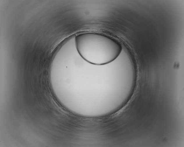 X0000111381449200907100926