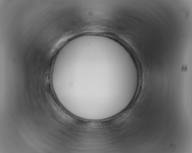 X0000111381451200907100926