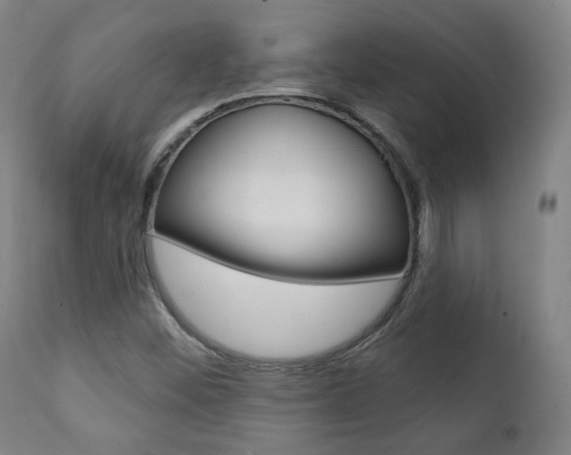 X0000111381452200907100926