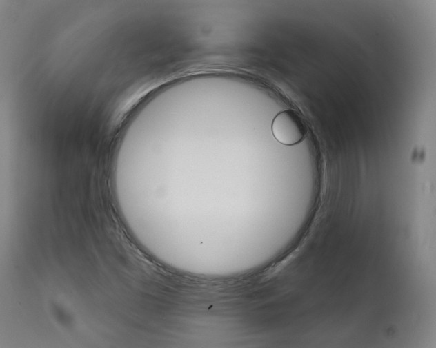 X0000111381453200907100926