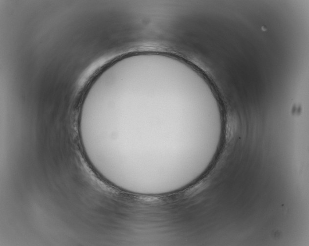 X0000111381454200907100926