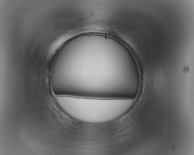 X0000111381455200907100926