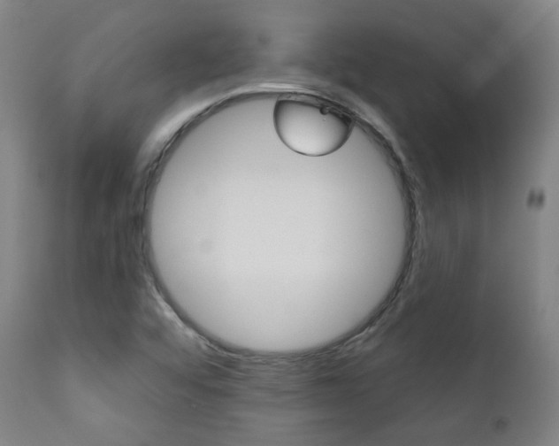 X0000111381456200907100926