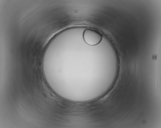 X0000111381457200907100926