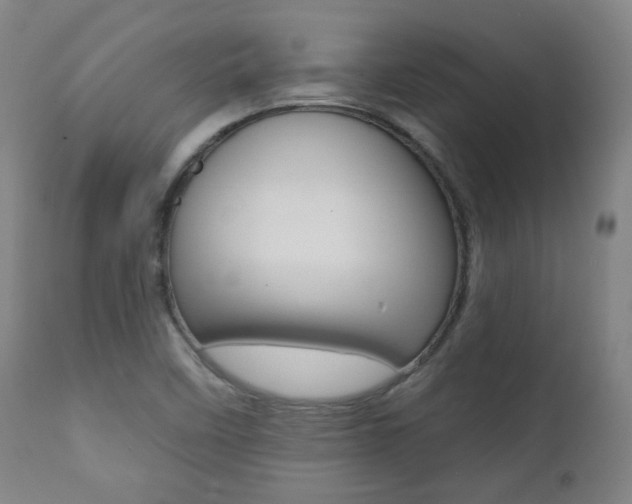 X0000111381458200907100926