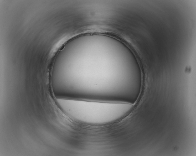 X0000111381459200907100926