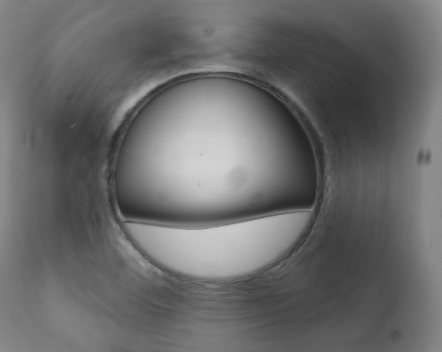 X0000111381460200907100926