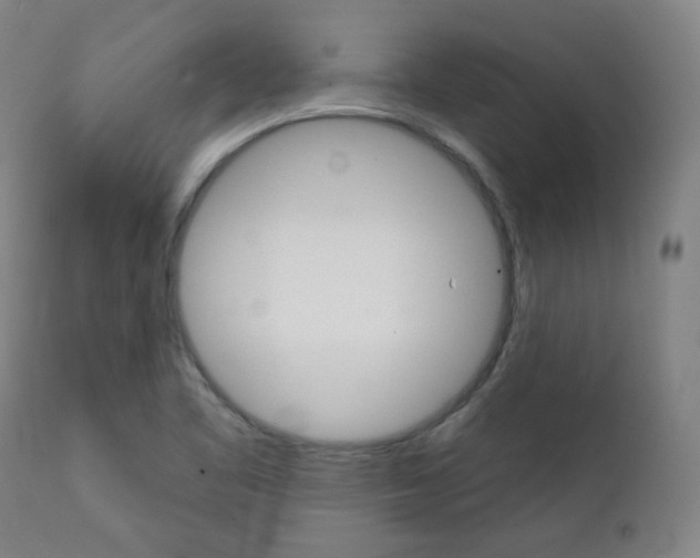 X0000111381461200907100926