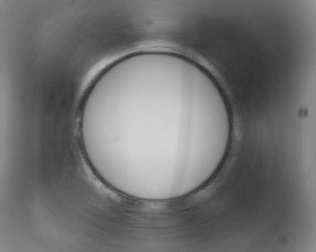 X0000111381462200907100926