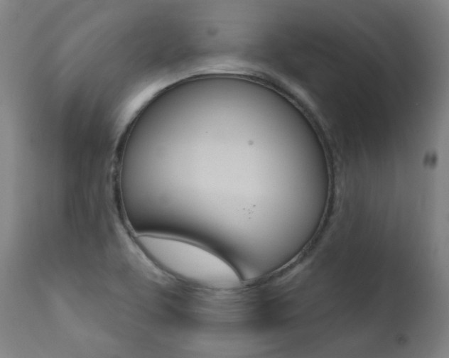 X0000111381463200907100926
